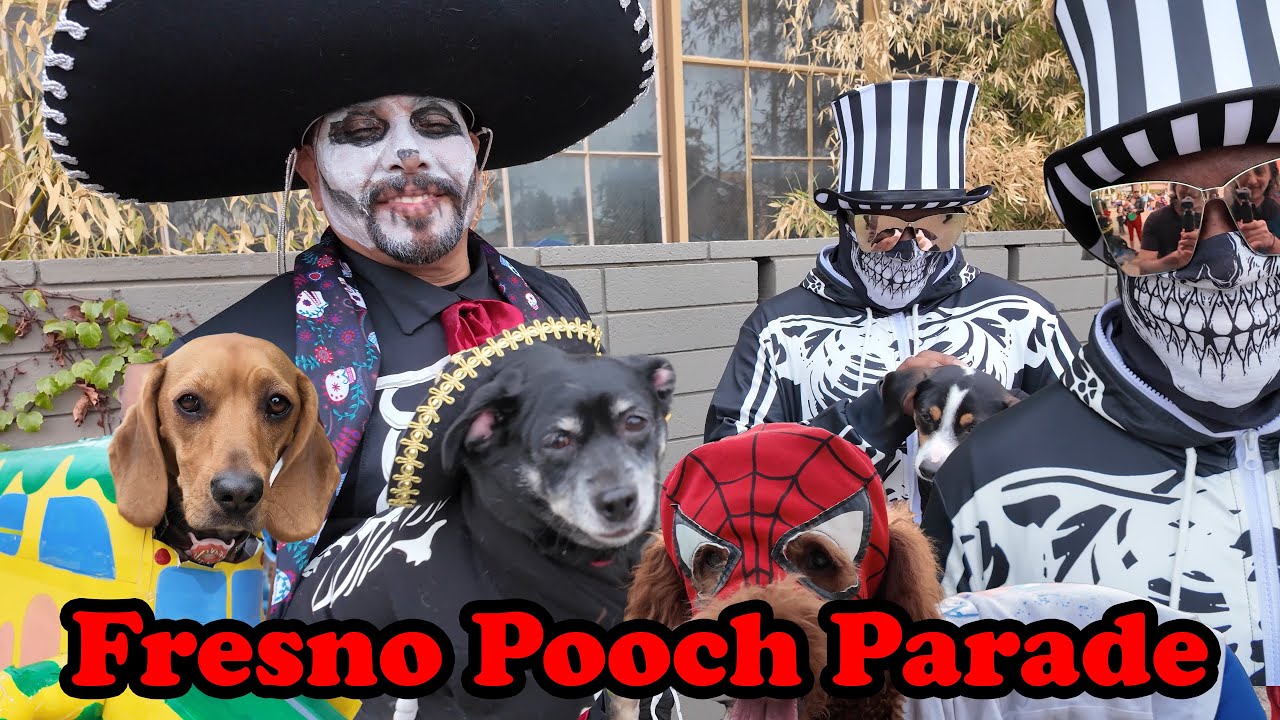 TOWER DISTRICT FRESNO POOCH PARADE