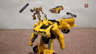 Bumblebee walking test