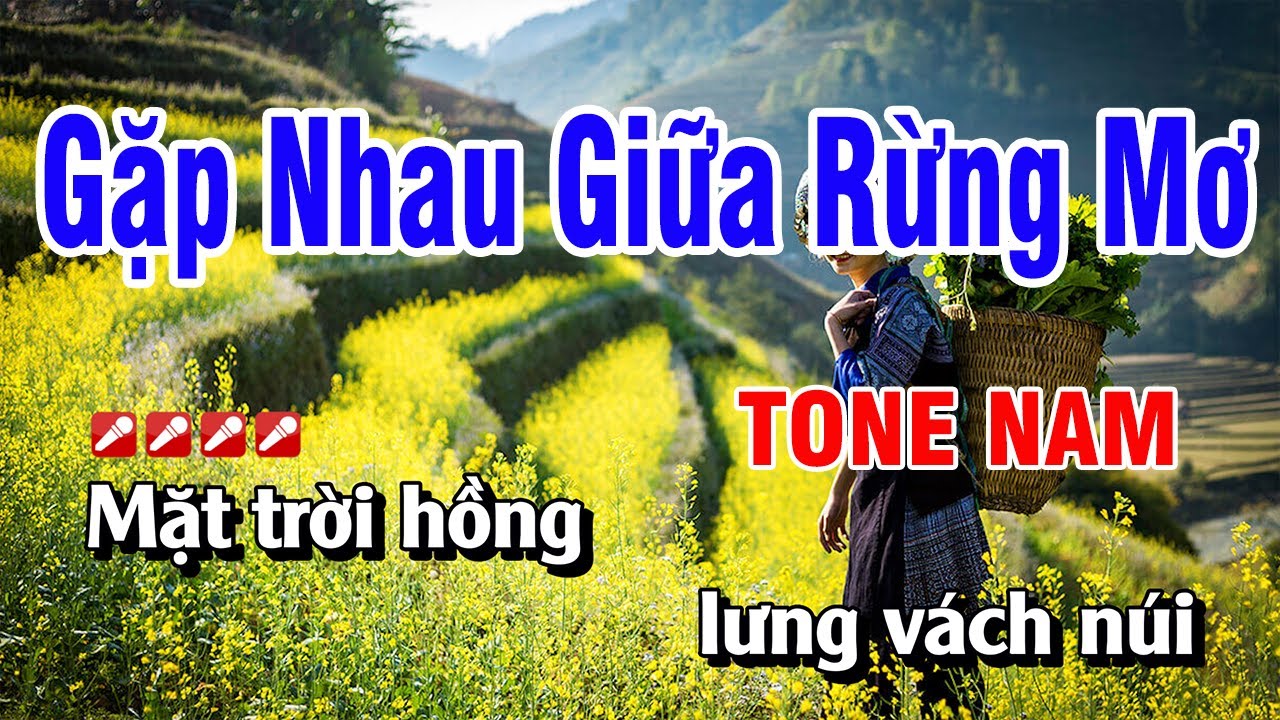 Karaoke Gặp Nhau Giữa Rừng Mơ Tone Nam Nhạc Sống Beat Chuẩn | Hoàng Luân