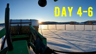 Spend A Week With Me On The Ranch As We Battle Winter Storms “Day 4-6” by Luthi Ranch 1,046 views 3 months ago 16 minutes