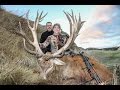 New Zealand 2013 Bow Hunt - Alpine Hunting