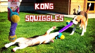 The Dog Toy Critics "Louie and Marie" Episode #9 : KONG SQUIGGLES