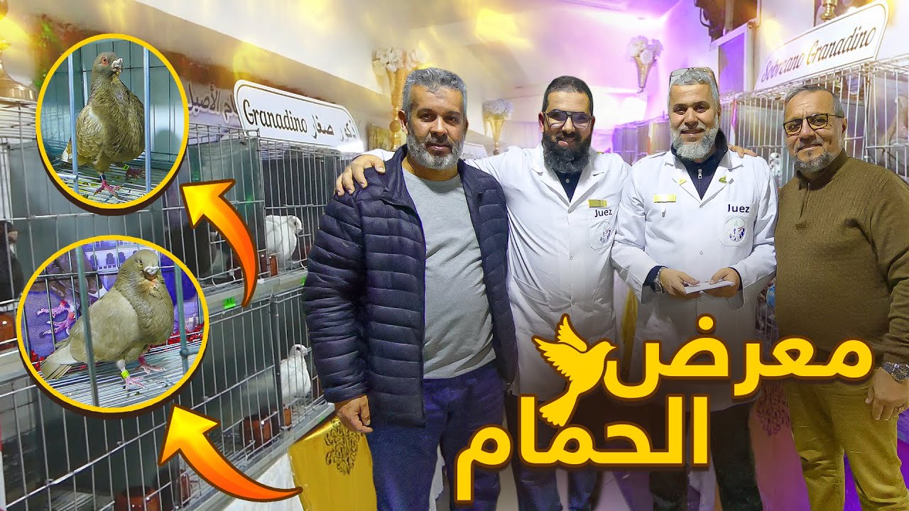 قمت بالزيارة اقدم جمعية في مدينة طنجة | جمعية مربي الحمام الاصيل