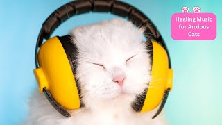 528Hz Healing Music for Anxious Cats (with cat purring sounds)