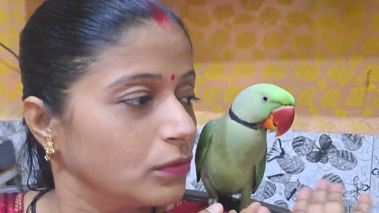 Thanks for 200 subscribers