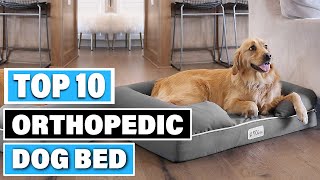 Best Orthopedic Dog Bed In 2025- Top 10 Orthopedic Dog Beds Review