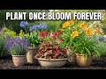 😍 Lazy Gardener's Dream- 15 Perennials That THRIVE in Pots with ZERO Effort - Pot Hack!