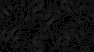 Black and white topographic wallpaper