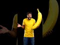 what is that giant banana