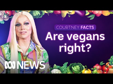 Video: Ursii-pom sunt potriviți pentru vegani?