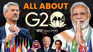 What is G20 summit 2023? FactStar