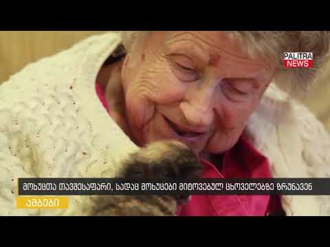 მოხუცთა თავშესაფარი, სადაც მოხუცები მიტოვებულ ცხოველებზე ზრუნავენ