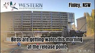 WPF Birds are getting water at the liberation site this morning.