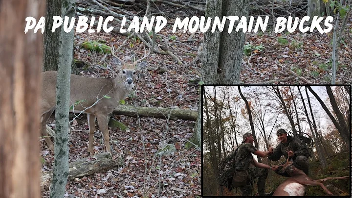 Took Out a First Time Hunter and This Happened-A First Buck Story-Bowhunting PA Game Lands