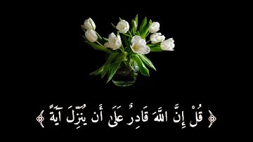 ايات قرانيه قصيره حالات واتس/راحه نفسيه/ارح سمعك /ارح قلبك/قران كريم بصوت جميل جدا