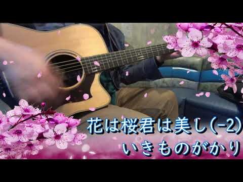 【ギター弾き語り】いきものがかり「花は桜君は美し (♭2)」