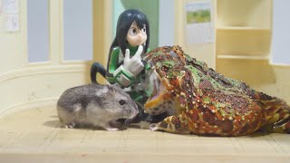 The frog preys on the hamster along with the figure【WARNING LIVE FEEDING】