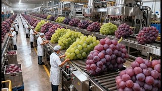 Inside the 180,000 LB U.S. Grape Processing Factory – The Hypnotic Fruit Flow