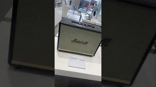 Marshall Test Speaker 2