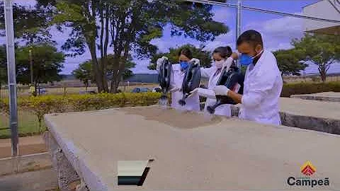 Quais os testes de vigor considerados pela ista?