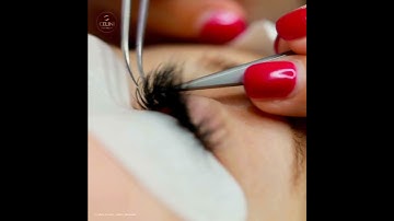 ✨ Mega Volume Eyelash Extensions! ✨🔥