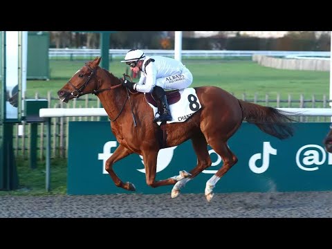 Aujourdhui Quinté Tiercé Quarté Sur Mer