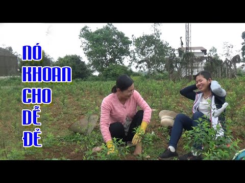 Video G.ÁI Xinh Ngồi Tả CON GÀ ĐẠP MÁI Xem Mà Cười Không... - youtube