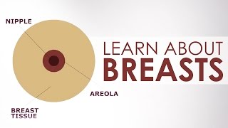 Learn about Breasts and Girls During Puberty