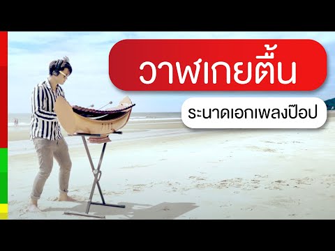 วาฬเกยตื้น - GUNGUN | ระนาดเอก | Fino the Ranad