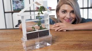 Discovery #Mindblown DIY Maze Planter