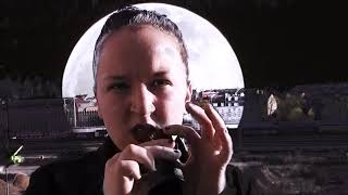BETTER COUNT 'EM PIGEONS - Nun flog Dr. Bert Rabe