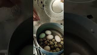 Duck eggs  #egg #eat #viral #youtubeshorts #food