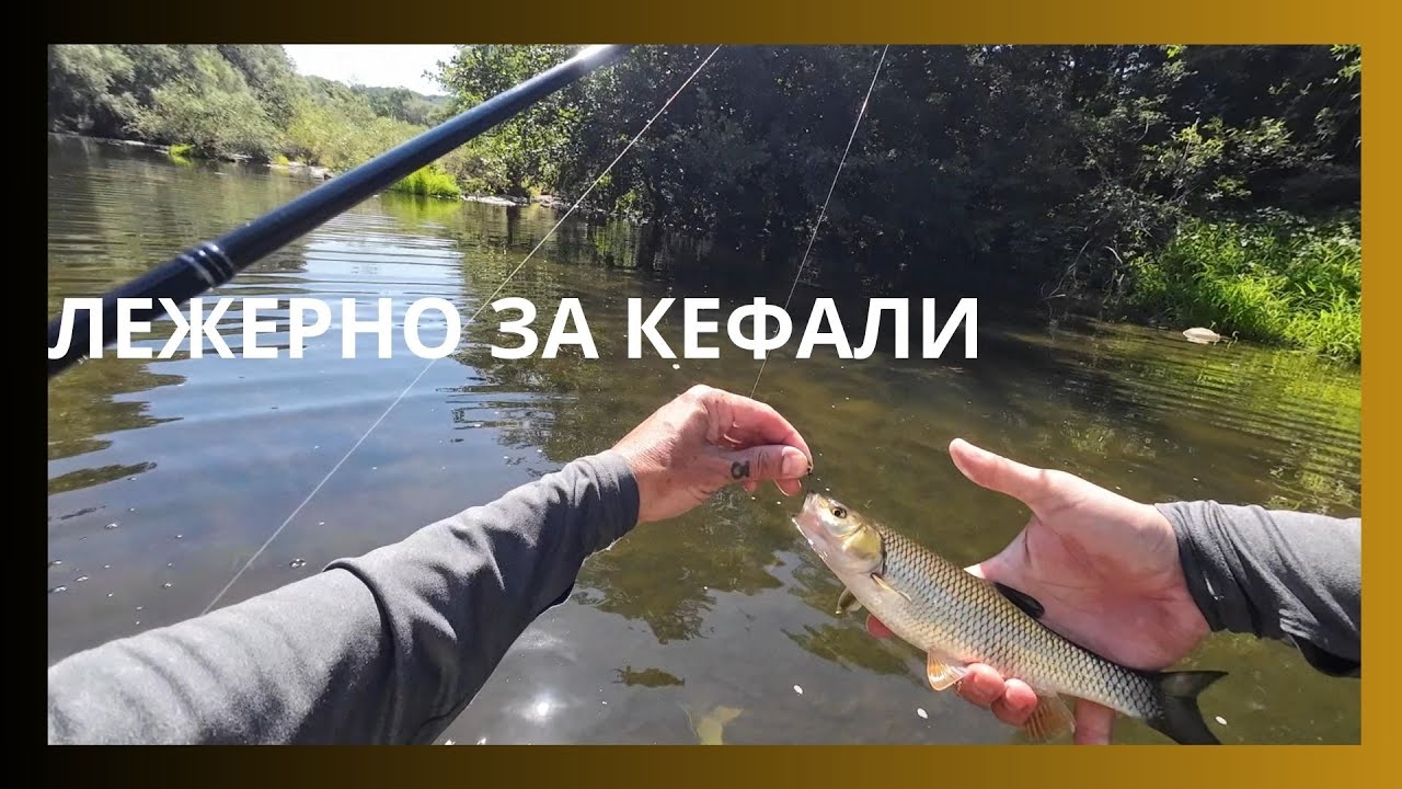 ЛЕЖЕРНО ЗА КЕФАЛИ