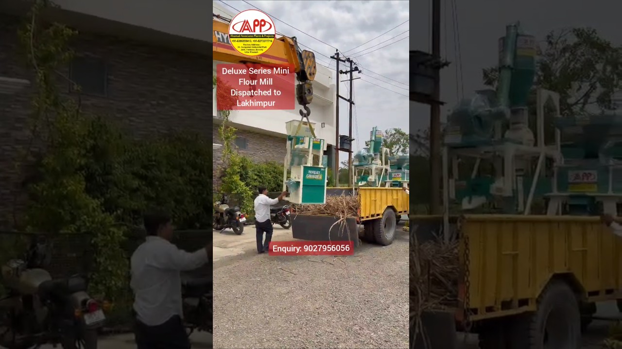Mini Flour Mill Plant 150kg/hr with wheat cleaning machine. #flourmill