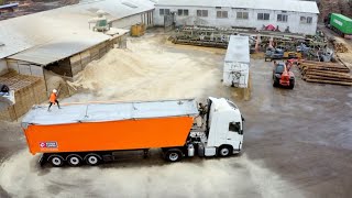 Jak Wygląda Załadunek Jednego Z Najnieprzyjemniejszych Materiałów? Truckerki