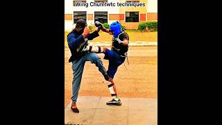 wing chun twtc techniques #wingchun #wushufight #boxing #mma #martialarts #foryou