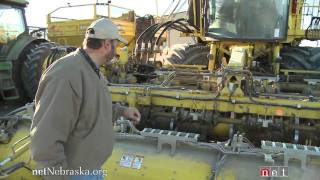 Sugar Beat Harvest