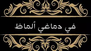 حالات واتساب | في دماغي الماظ | شاهين العبقري