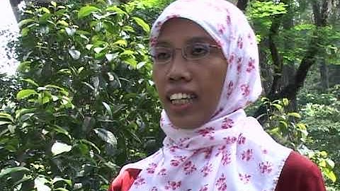 Kingdom Plantae seg3 Ayo Belajar Biologi | Video Learning Objec