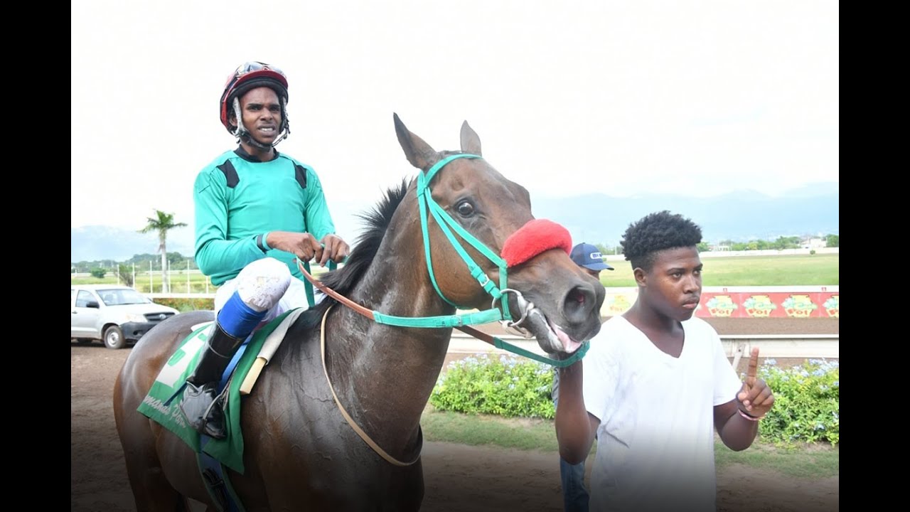 JAMAICA RACING: STORM A COME WINS THE CAYMANAS (SUN, OCT 30, 2022) SIXTH