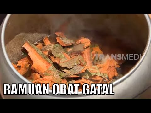 Membuat Ramuan Obat Gatal | BOCAH PETUALANG