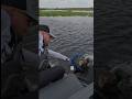 How not to net a fish 😂😂😂