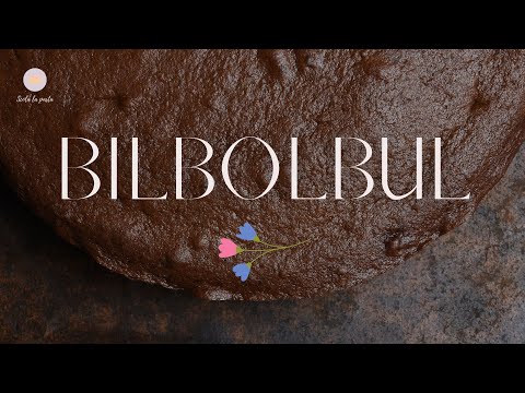 BILBOLBUL (la deliziosa torta al cacao senza uova e senza burro, morbida e squisita)
