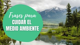 20 Frases para cuidar el Medio Ambiente ?? - YouTube