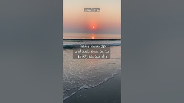 سورة البقرة الآية 263 و 264
