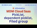 Informatica MDM Business360 Training | PickList, dependent picklist, Filed group