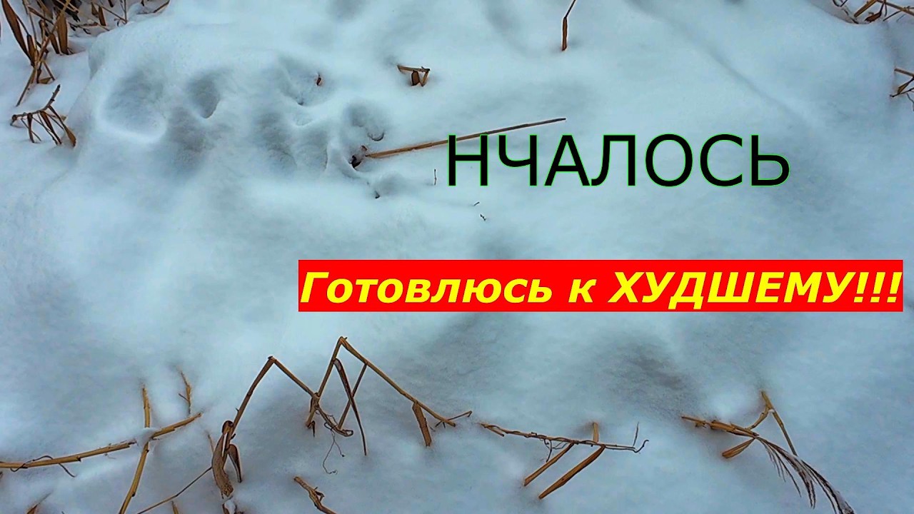 Начинаю готовиться к ХУДШЕМУ