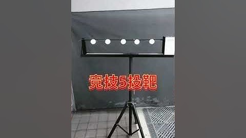 Impressive drop-down target system