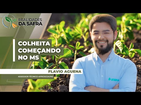 Mato Grosso do Sul começa colheita da soja esperando boas produtividades