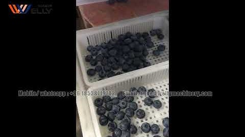 Video of blueberry sorting 4 levels machine -- Welly Machinery